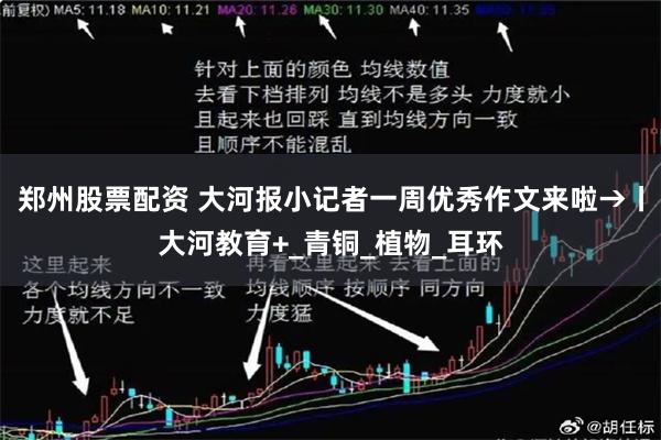 郑州股票配资 大河报小记者一周优秀作文来啦→丨大河教育+_青铜_植物_耳环