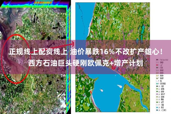正规线上配资线上 油价暴跌16%不改扩产雄心！西方石油巨头硬刚欧佩克+增产计划