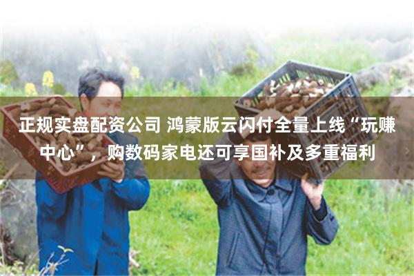 正规实盘配资公司 鸿蒙版云闪付全量上线“玩赚中心”，购数码家电还可享国补及多重福利