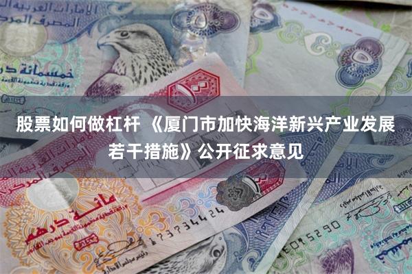 股票如何做杠杆 《厦门市加快海洋新兴产业发展若干措施》公开征求意见