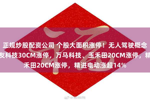 正规炒股配资公司 个股大面积涨停！无人驾驶概念股继续走强，三友科技30CM涨停，万马科技、玉禾田20CM涨停，精进电动涨超14%