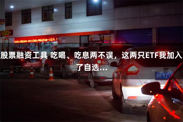 股票融资工具 吃喝、吃息两不误，这两只ETF我加入了自选...