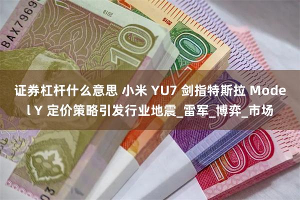 证券杠杆什么意思 小米 YU7 剑指特斯拉 Model Y 定价策略引发行业地震_雷军_博弈_市场