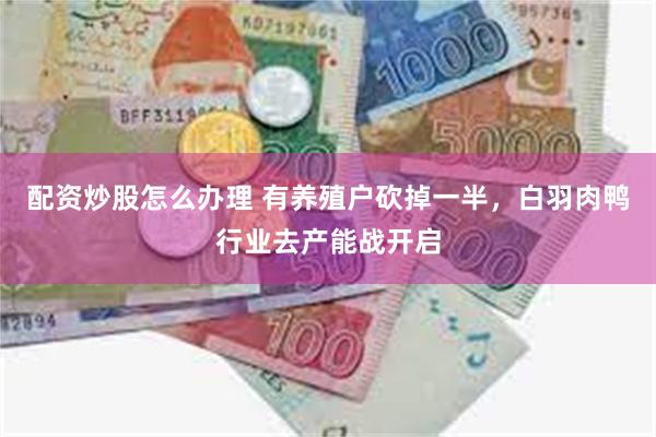 配资炒股怎么办理 有养殖户砍掉一半，白羽肉鸭行业去产能战开启