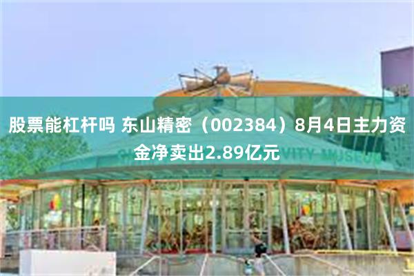 股票能杠杆吗 东山精密（002384）8月4日主力资金净卖出2.89亿元