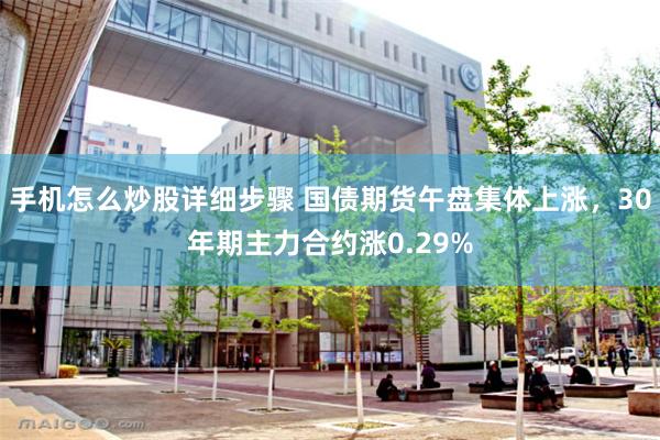 手机怎么炒股详细步骤 国债期货午盘集体上涨，30年期主力合约涨0.29%